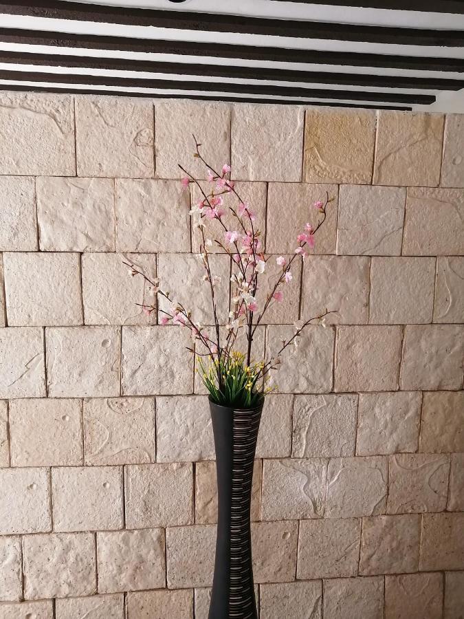 דירות ואיאדוליד Casa Mama Bety מראה חיצוני תמונה